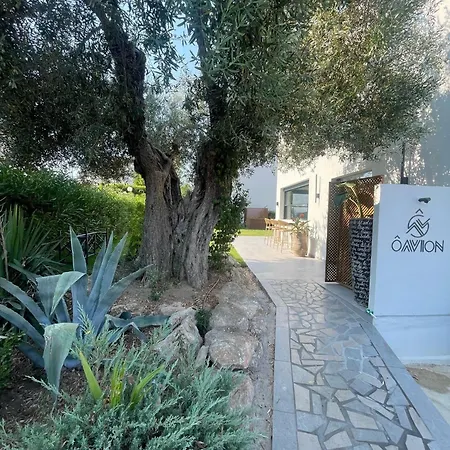 Olvion Luxury Living Lejlighed